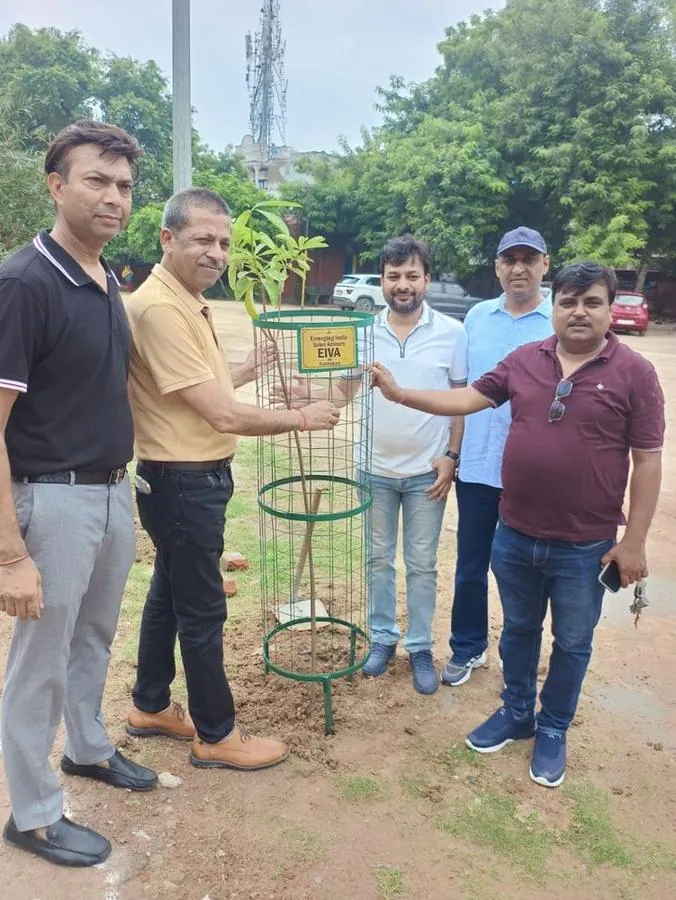 Tree Plantation Drive, 8 August 2026